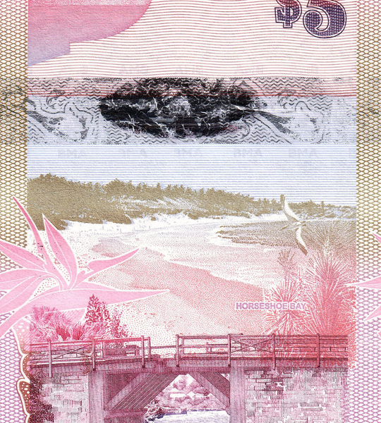 5 Dolar&oacute;w, Bermudy, rok 2009, UNC