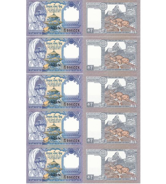 10 банкнот 1 Rupee, Непал, 1995 рік, UNC 002507 фото