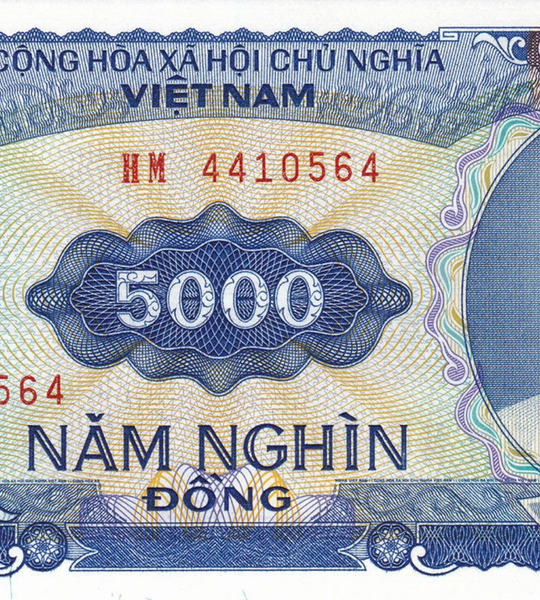 10 Banconote: 5000 Dong, Vietnam, 1991, UNC 003603 фото