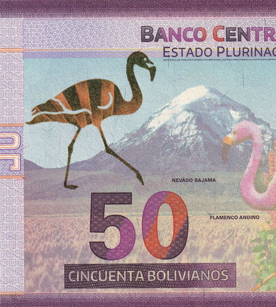 50 Bolivianos, Bolivie, 2018, UNC 005096 фото