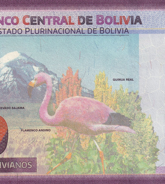 50 Bolivianos, Bolivie, 2018, UNC 005096 фото