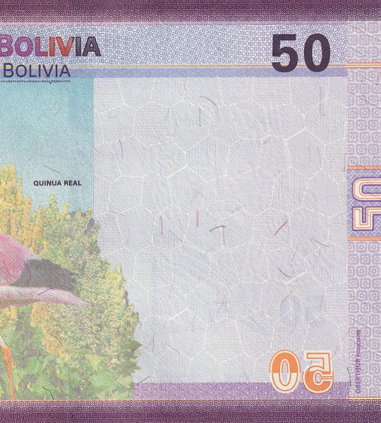 50 Bolivianos, Bolivie, 2018, UNC 005096 фото