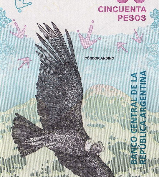 50 Pesos, Аргентина, 2020 рік, аUNC 005694 фото