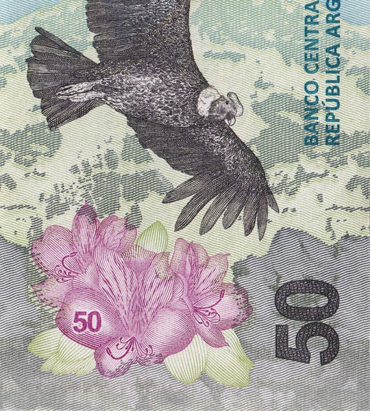 50 Pesos, Аргентина, 2020 рік, аUNC 005694 фото