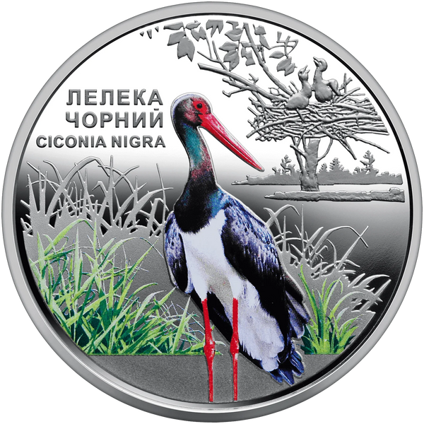 Chernobyl Renaissance. Black stork