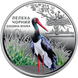 Chernobyl Renaissance. Black stork