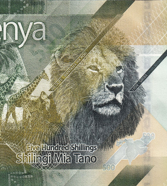 500 Scellini, Kenya, anno 2019, aUNC 004997 фото 500 Scellini, Kenya, anno 2019, aUNC 004997 фото