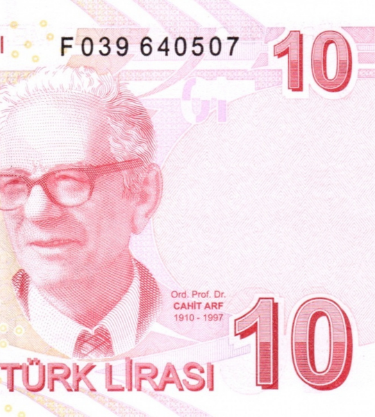 10 banconote da 10 Lirasi, Turchia, anno 2009 (2021), UNC 004998 фото 10 banconote da 10 Lirasi, Turchia, anno 2009 (2021), UNC 004998 фото