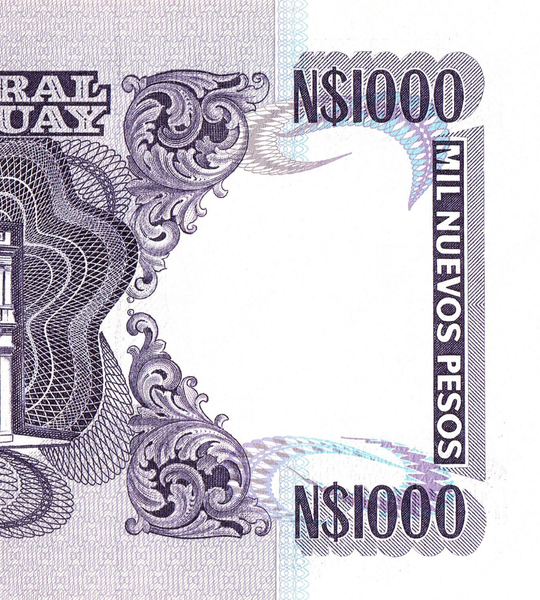 1000 Nuevos Pesos, Uruguay, 1991 - 1992, UNC 005198 фото