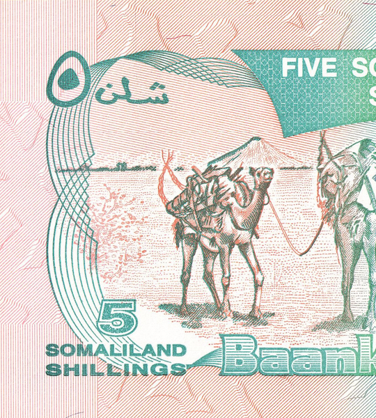 5 Shillings, Сомаліленд, 1994 рік, UNC 005048 фото 5 Shillings, Сомаліленд, 1994 рік, UNC 005048 фото