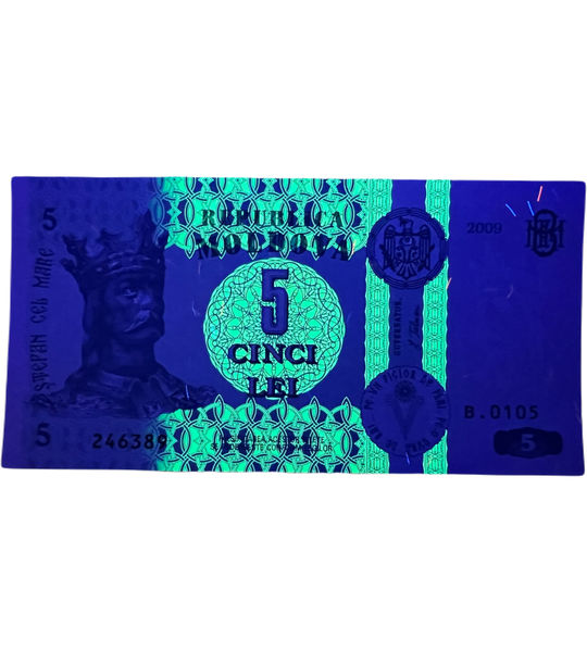 5 lejów, Mołdawia, 2013 rok, UNC