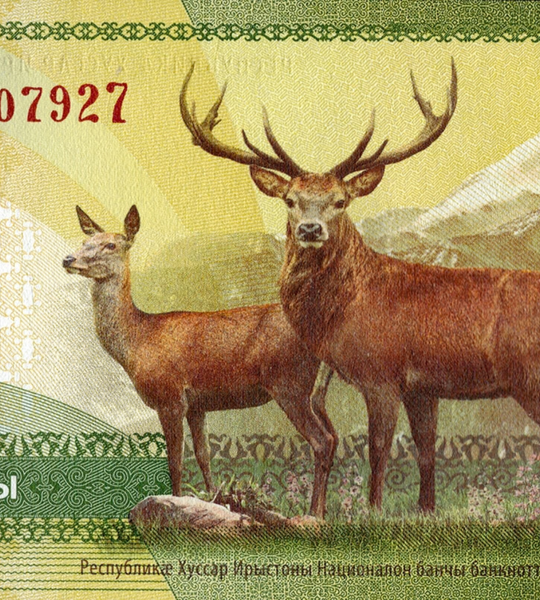 200 Zarin, South Ossetia, 2026, UNC