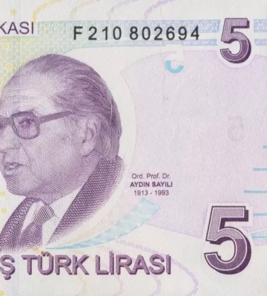 5 Lirasi, Turchia, 2009 (2022), UNC 003357 фото
